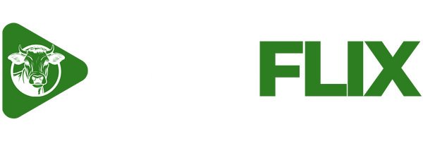 Imagem do logo do formulário